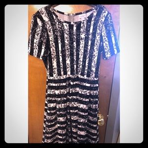LulaRoe Amelia- medium